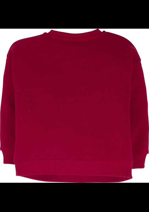Sweatshirt 15039 2