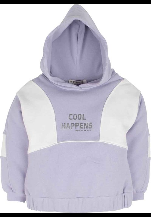 Kapüsonlu Sweatshirt 14858 1