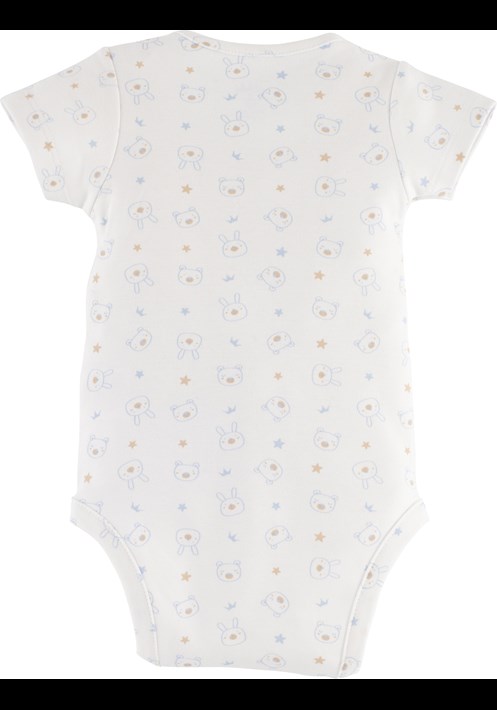 Body 15651 2