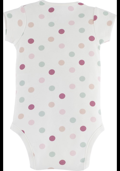 Body 15655 2