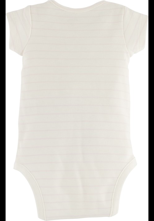 Body 15656 2
