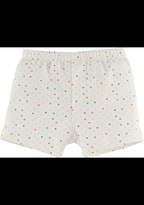 2'li Boxer 15631 2