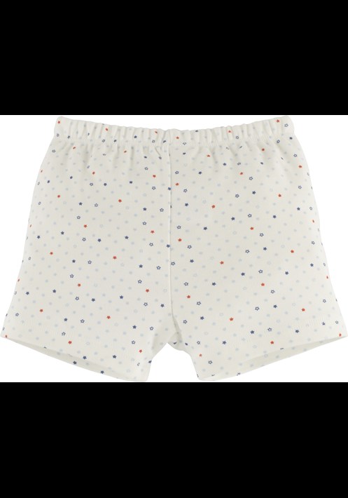 2'li Boxer 15631 3