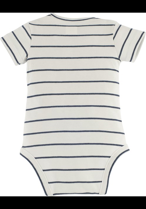 Body 15648 2