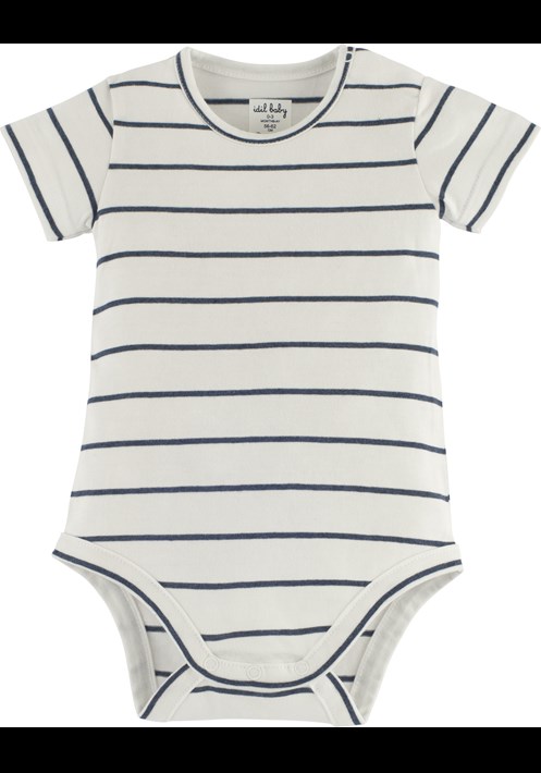 Body 15648 1