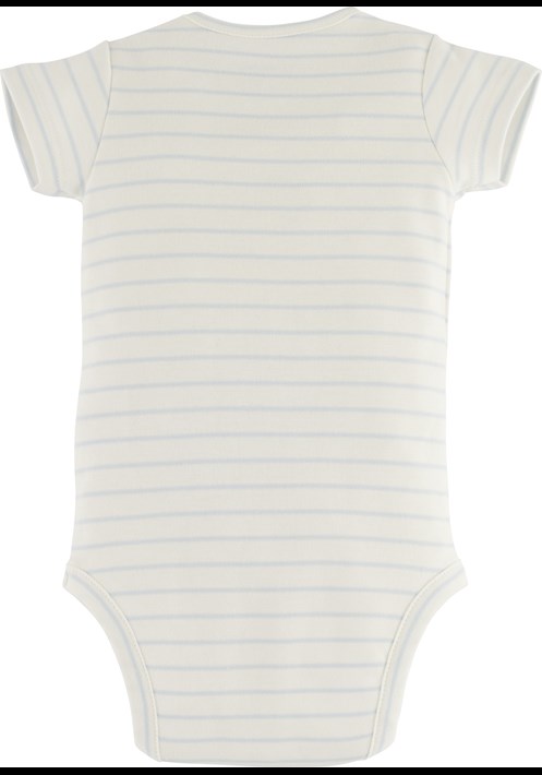 Body 15649 2