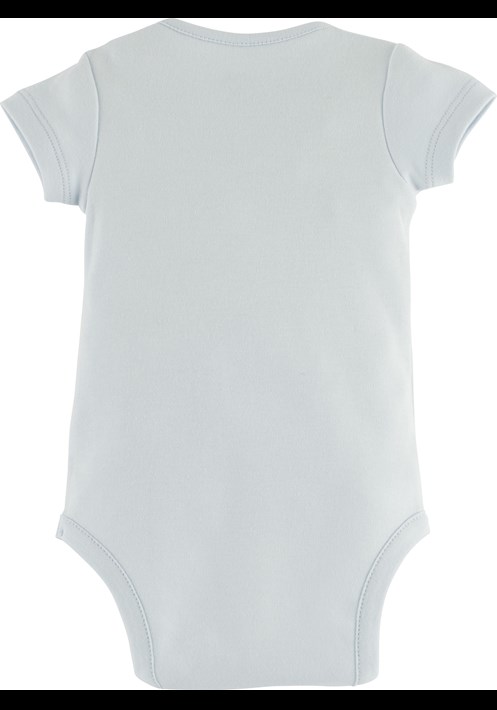 Body 15652 2