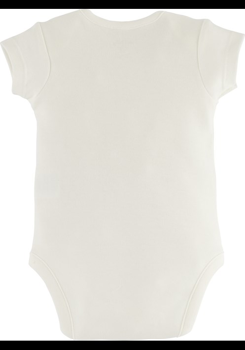 Body 15676 2