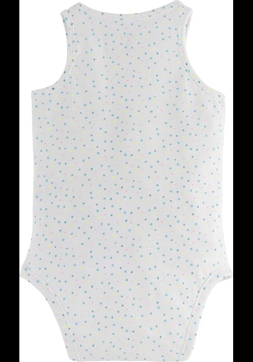Body 15731 2