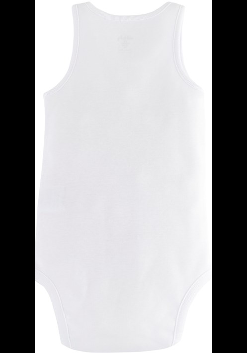 Body 15723 2