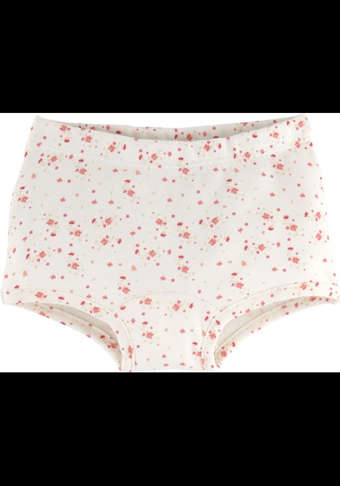 2'li Boxer 15697 2