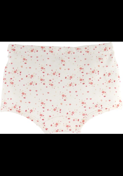 2'li Boxer 15697 3