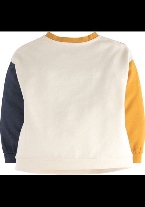 Sweatshirt 15805 2