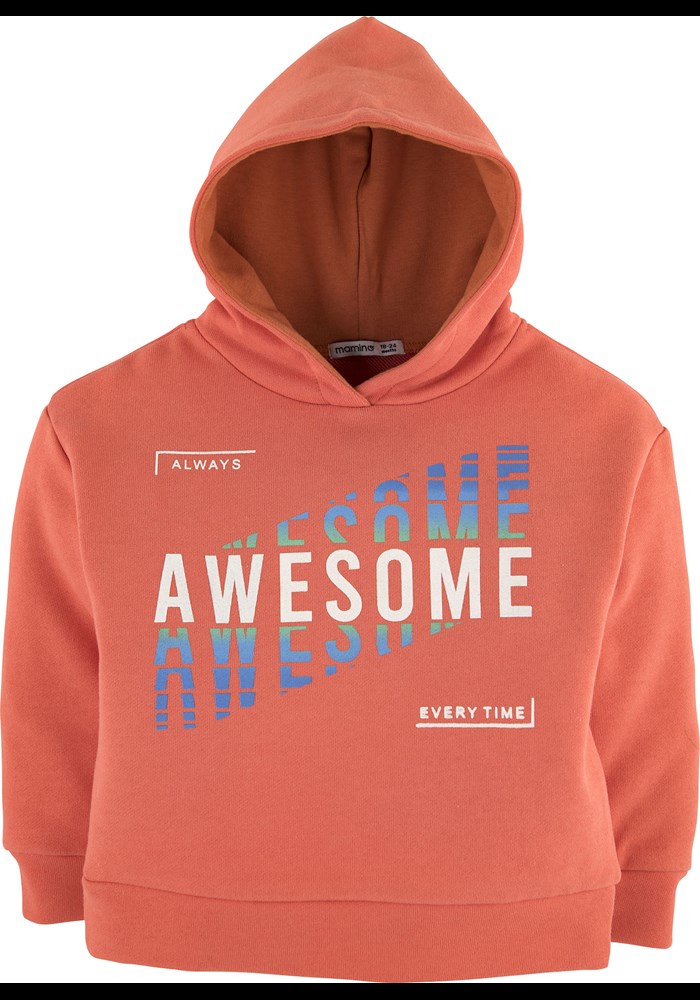Kapüsonlu Sweatshirt 15804