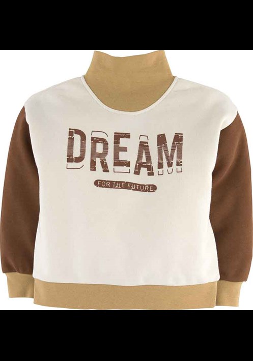 Sweatshirt 15976 1