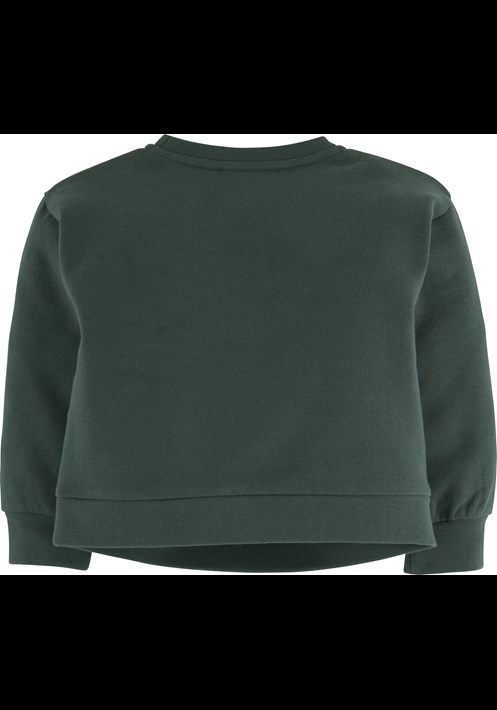 Baskili Sweatshirt 15977 2