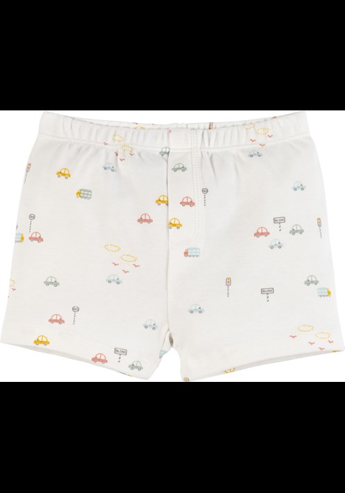 Araba Baskili 2'li Boxer 16260 2