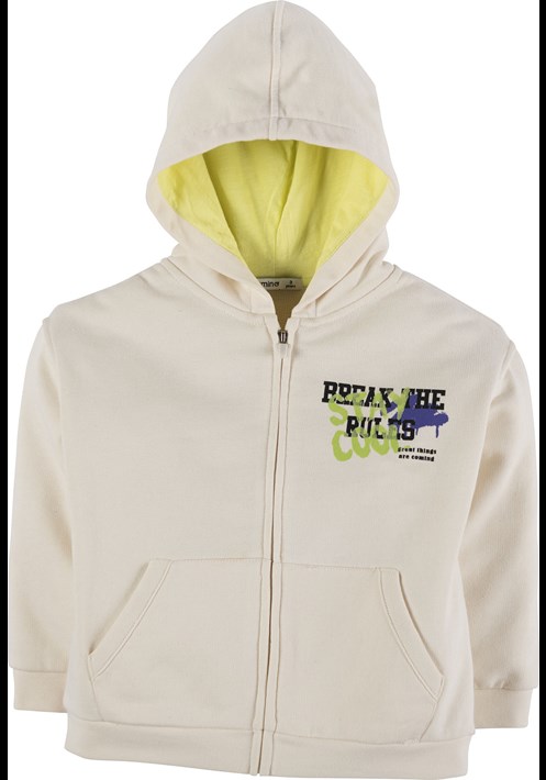 Baskili Kapüsonlu Sweatshirt 16473 2