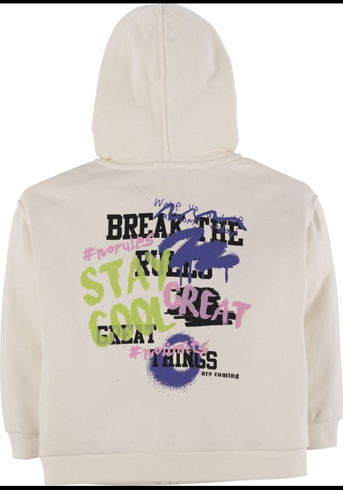 Baskili Kapüsonlu Sweatshirt 16473 3