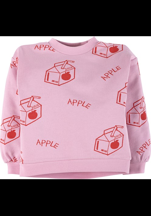 Baskili Sweatshirt 16924 1