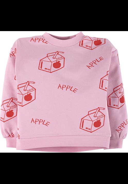 Baskili Sweatshirt 16924 2