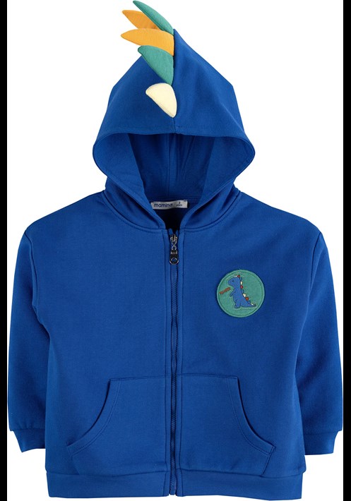 Nakisli Kapüsonlu Sweatshirt 17104 1