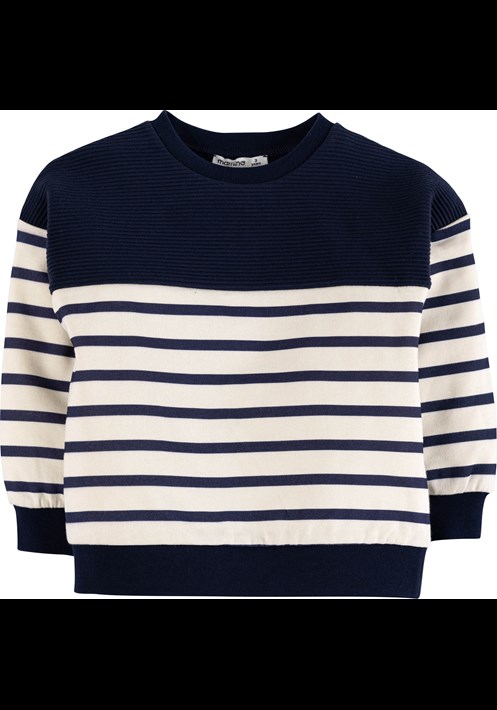 Çizgili Sweatshirt 17072 1