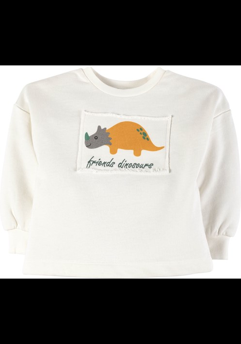 Baskili Sweatshirt 17083 1