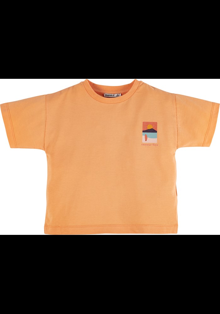 Baskili T-shirt 17441