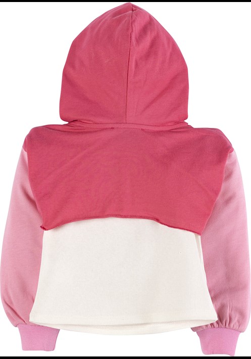 Crop Sweatshirt 17366 3