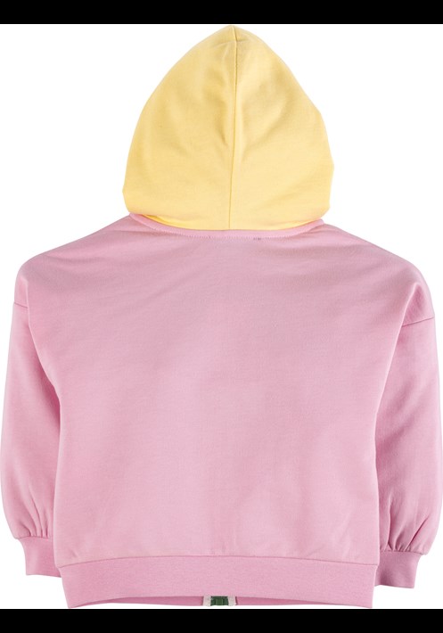 Kapüsonlu Sweatshirt 17264 2
