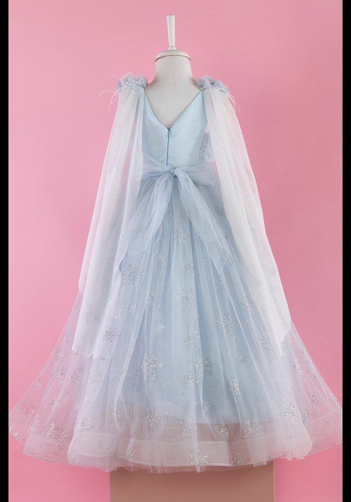 232712 Frozen Kostüm 2