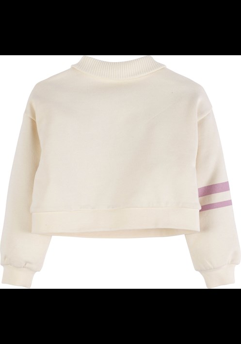 Sweatshirt 17993 3