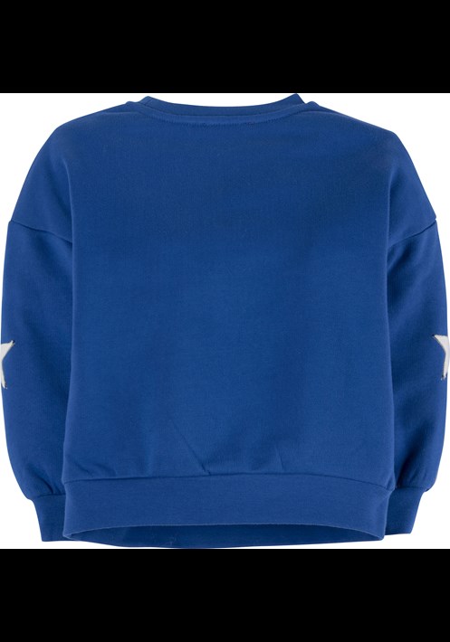 Sweatshirt 17754 2
