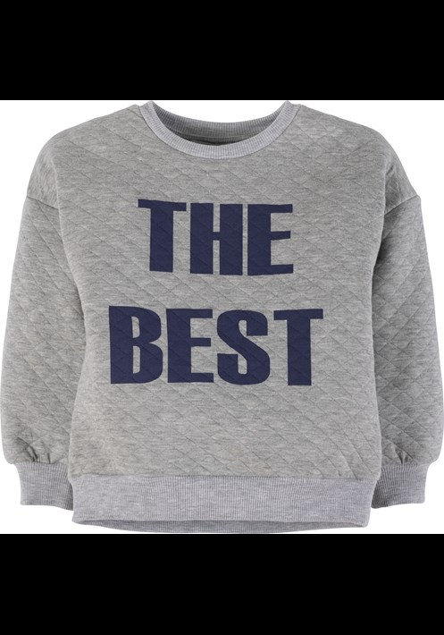 Sweatshirt 17779 1