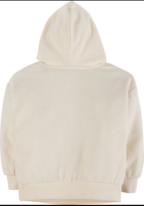 Kapüsonlu Sweatshirt 17794 2