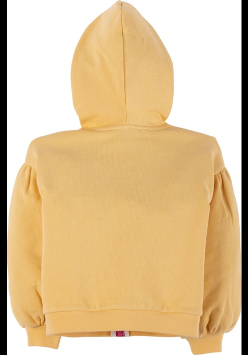 Kapüsonlu Sweatshirt 17889 2