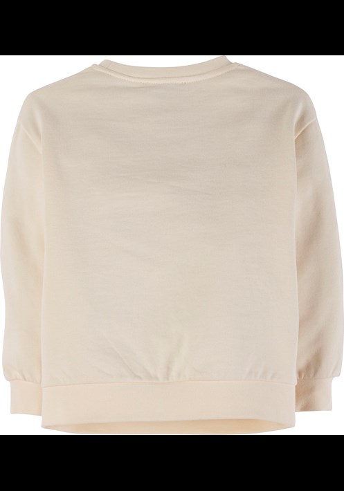 Sweatshirt 17972 2
