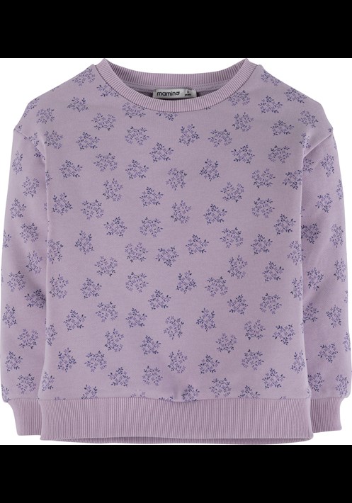 Sweatshirt 18012 1