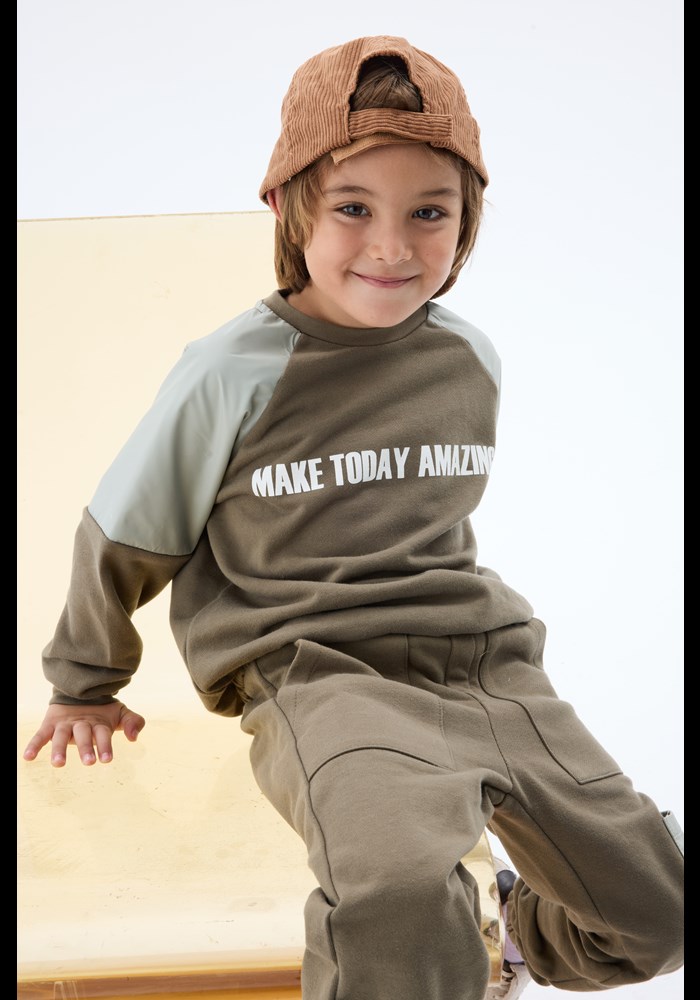 Sweatshirt 17810