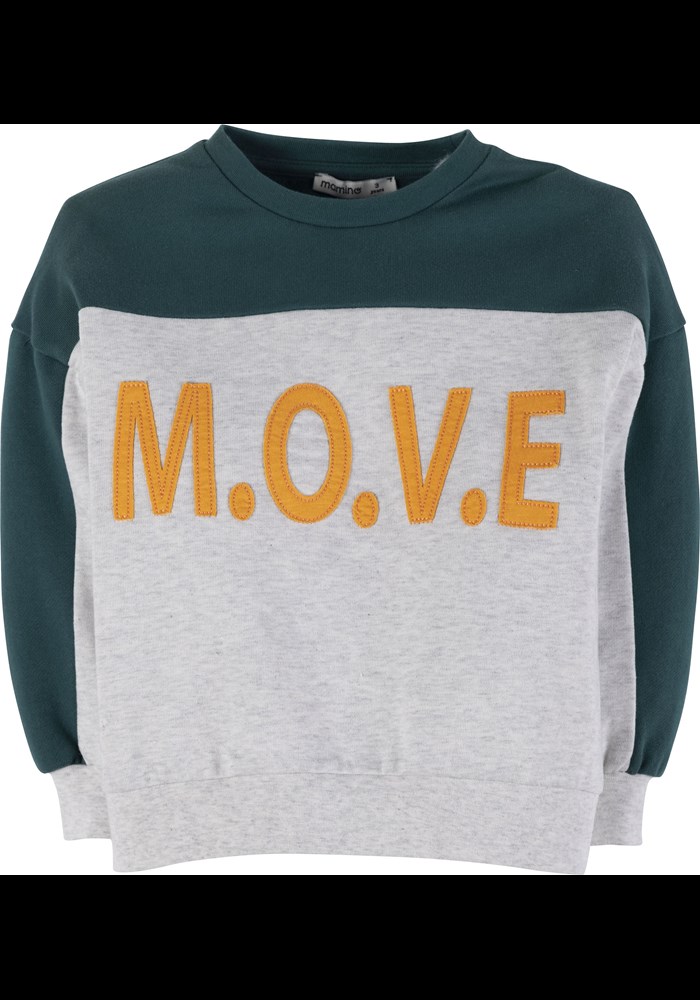 Sweatshirt 17796