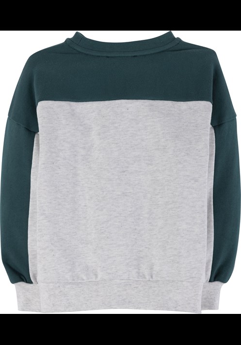 Sweatshirt 17796 2