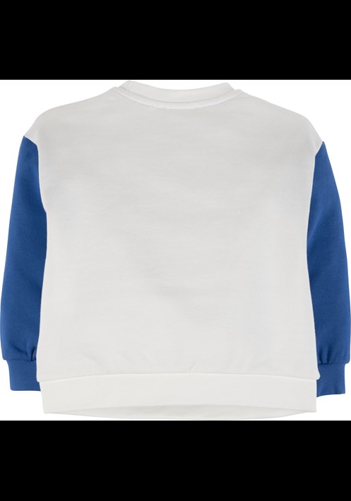 Sweatshirt 17753 2