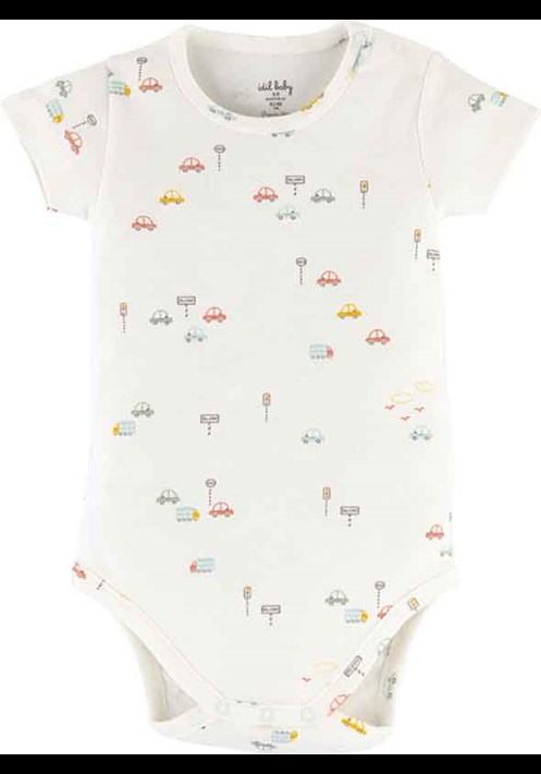 Araba Baskili Body 16262 1