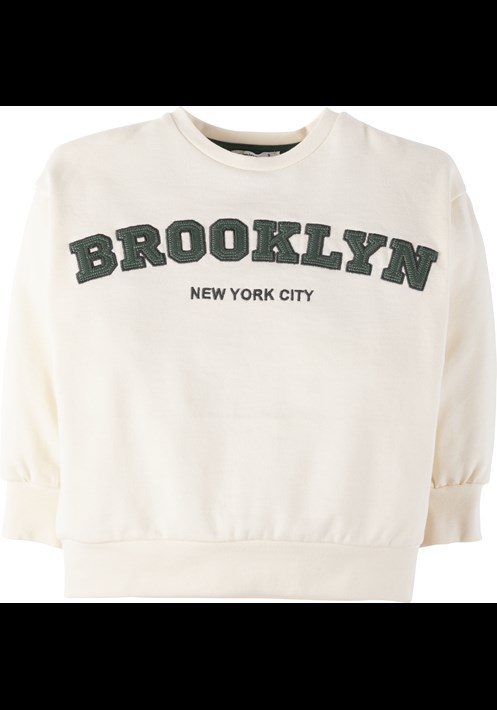 Sweatshirt 19093 1