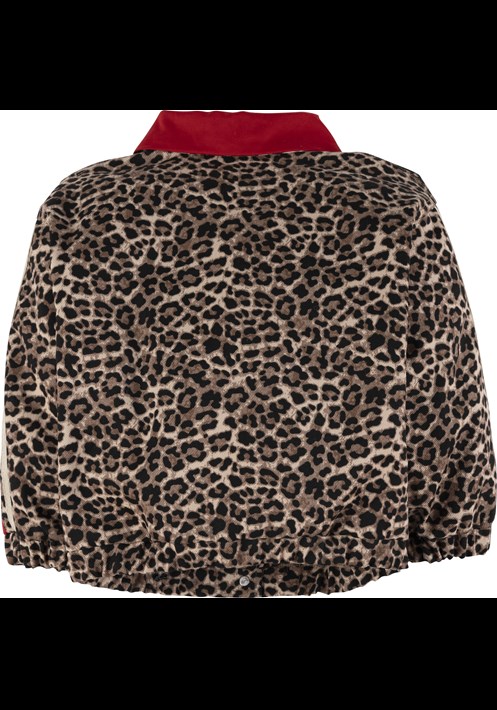 Leopar Mont 19014 2