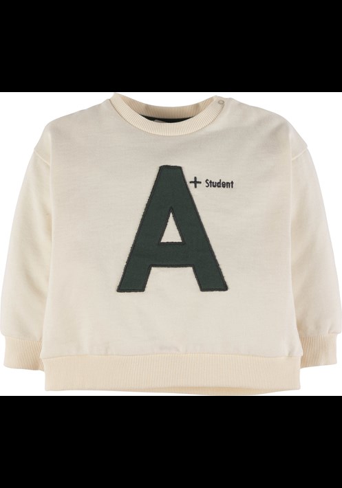 Sweatshirt 19123 1