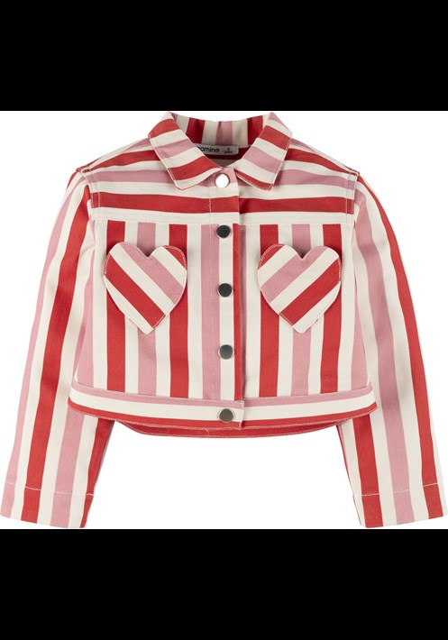 Çizgili Ceket 19023 1