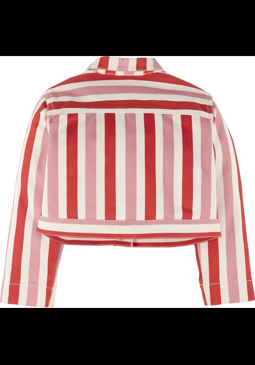 Çizgili Ceket 19023 2