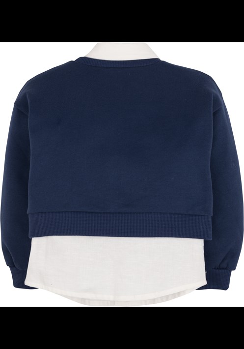 Sweatshirt 18950 2